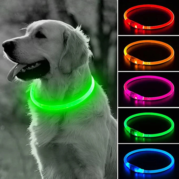 Luminous collar, USB LED for dogs and cats