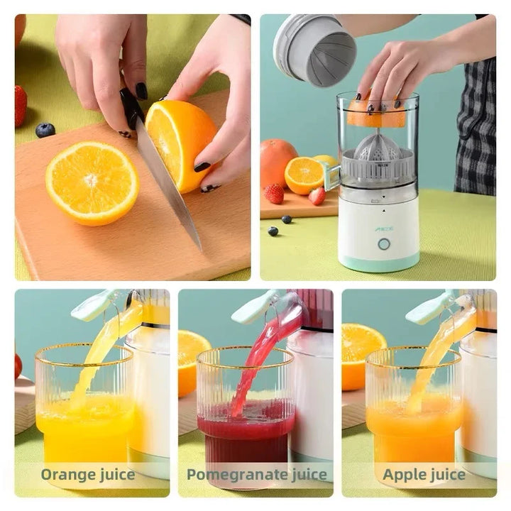 Industrial Fruit Juicer