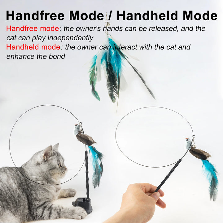 Interactive Cat Toys. Since