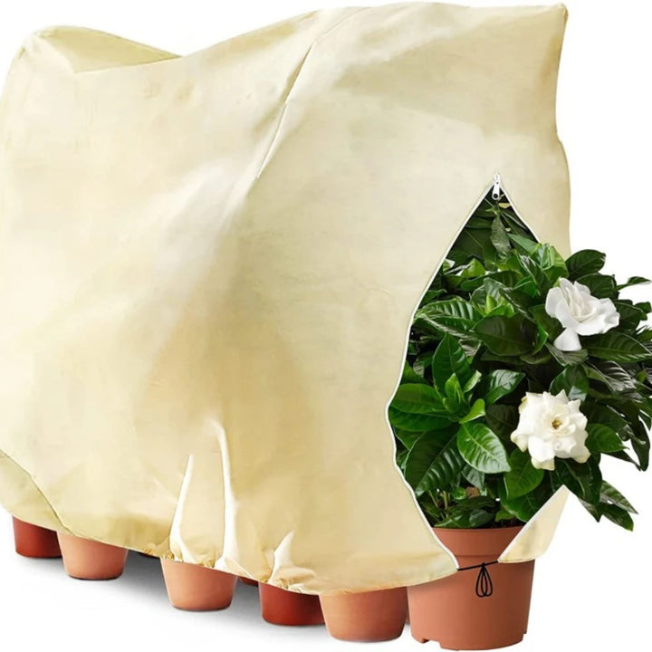 Frost protective cover for plants.     Since