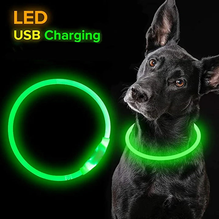 Luminous collar, USB LED for dogs and cats