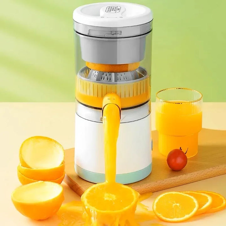 Industrial Fruit Juicer