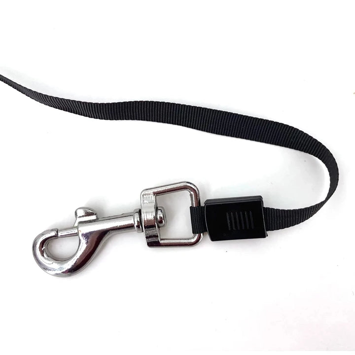 Retractable collar/leash, for dogs