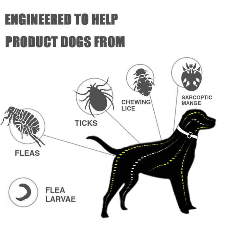 Flea and tick collars for dogs and cats.