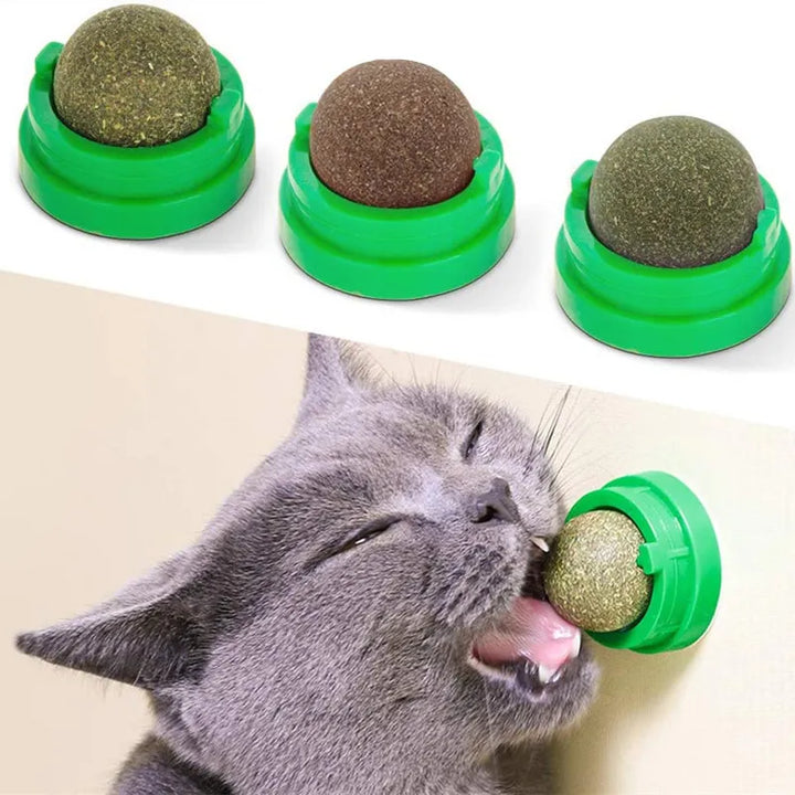 Toy to promote cat digestion