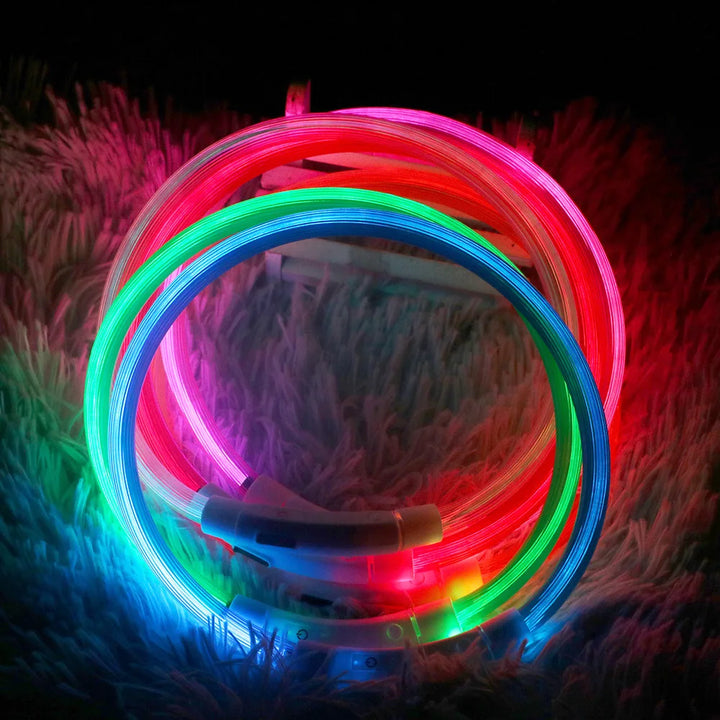 Luminous collar, USB LED for dogs and cats