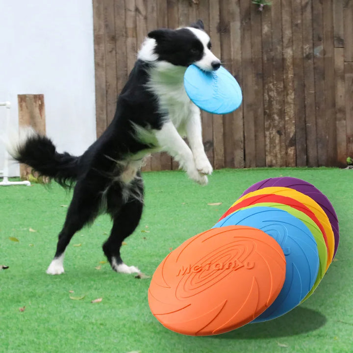 Silicone frisbee toy.     Since