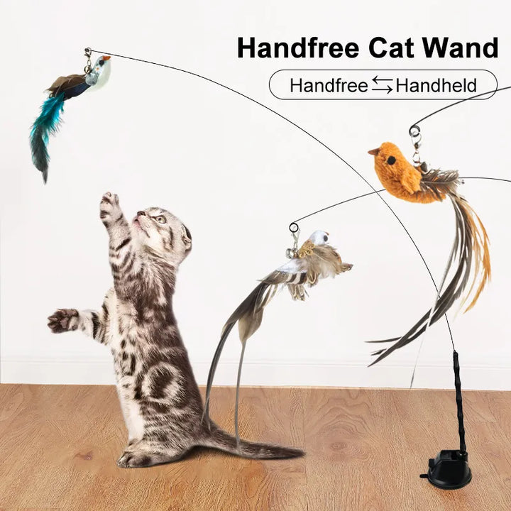 Interactive Cat Toys. Since